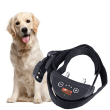 憨憨樂園寵物用品專營店 為愛寵打造貼心護理體驗