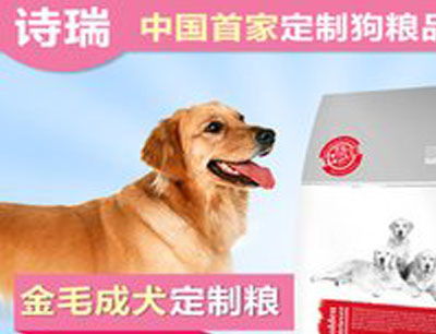 寵物用品加盟排行榜與加盟費分析 兼論數(shù)碼類寵物產(chǎn)品發(fā)展趨勢