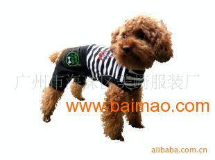 開拓歐洲寵物服裝市場 阿里巴巴平臺大批發(fā)供應指南