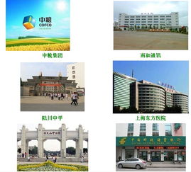 深圳數(shù)碼冰機王飲水機 智能生活的清涼伙伴