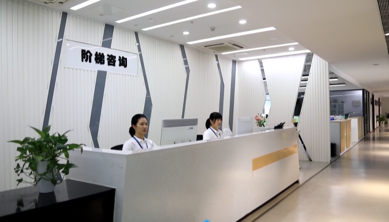 市政府質量獎企業(yè)風采②|階梯項目咨詢 高品質服務助力項目“騰飛”